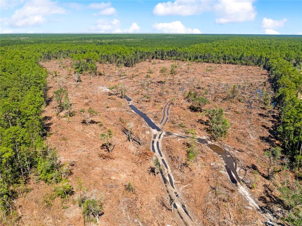 0 Frank Gilbert Lane Lacombe, LA 70445 - Photo 4 of 16