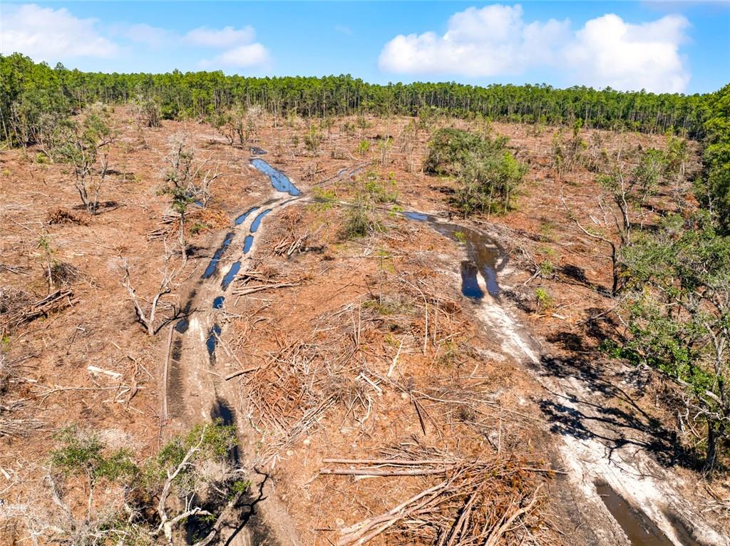 0 Frank Gilbert Lane Lacombe, LA 70445 - Photo 5 of 16