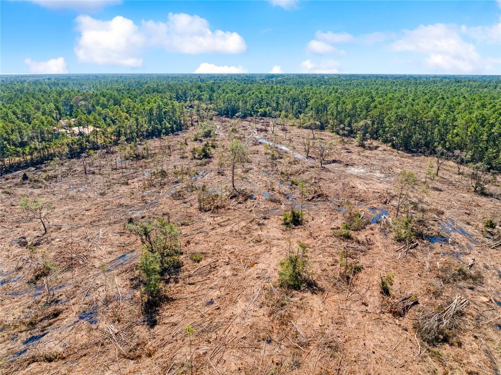 0 Frank Gilbert Lane Lacombe, LA 70445 - Photo 6 of 16