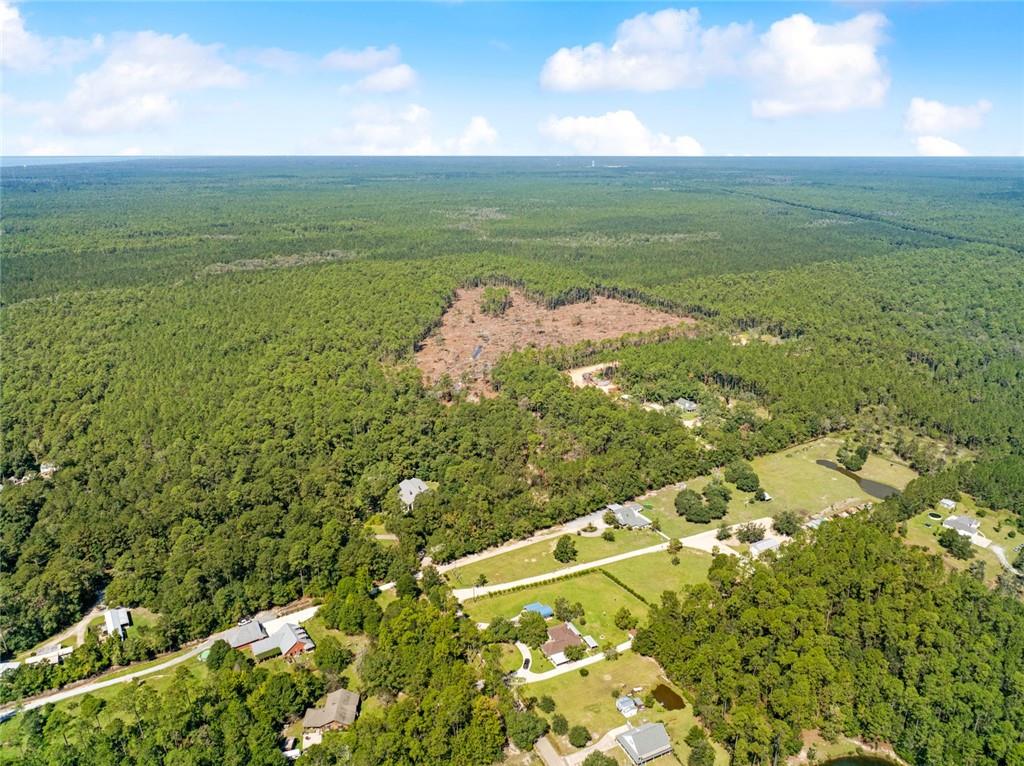 0 Frank Gilbert Lane Lacombe, LA 70445 - Photo 7 of 16