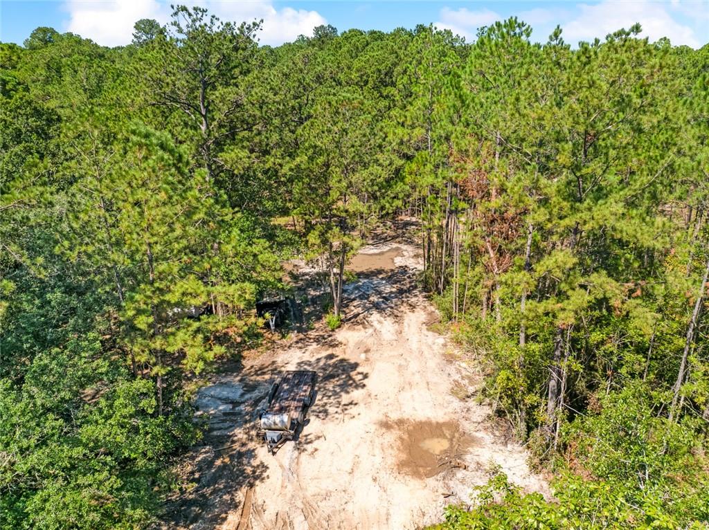 0 Frank Gilbert Lane Lacombe, LA 70445 - Photo 8 of 16