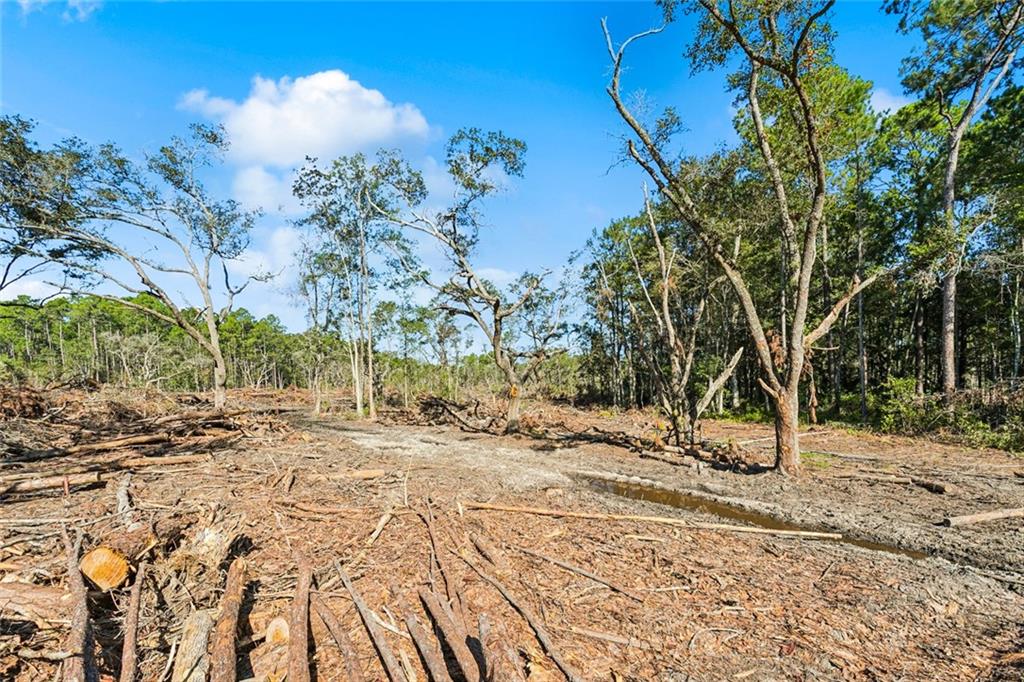 0 Frank Gilbert Lane Lacombe, LA 70445 - Photo 9 of 16