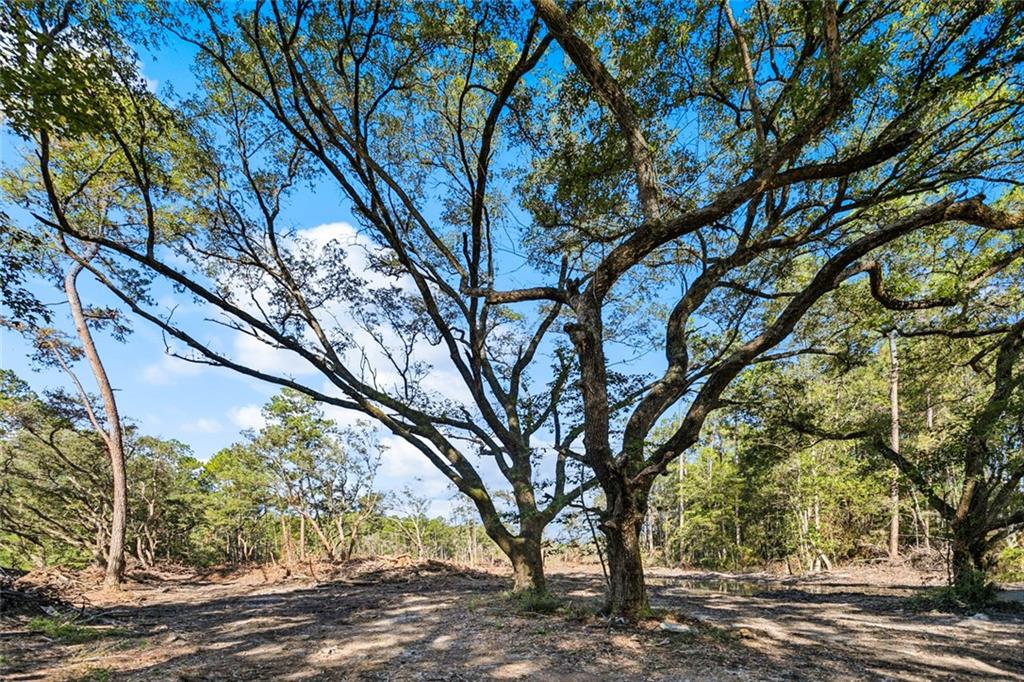 0 Frank Gilbert Lane Lacombe, LA 70445 - Photo 10 of 16