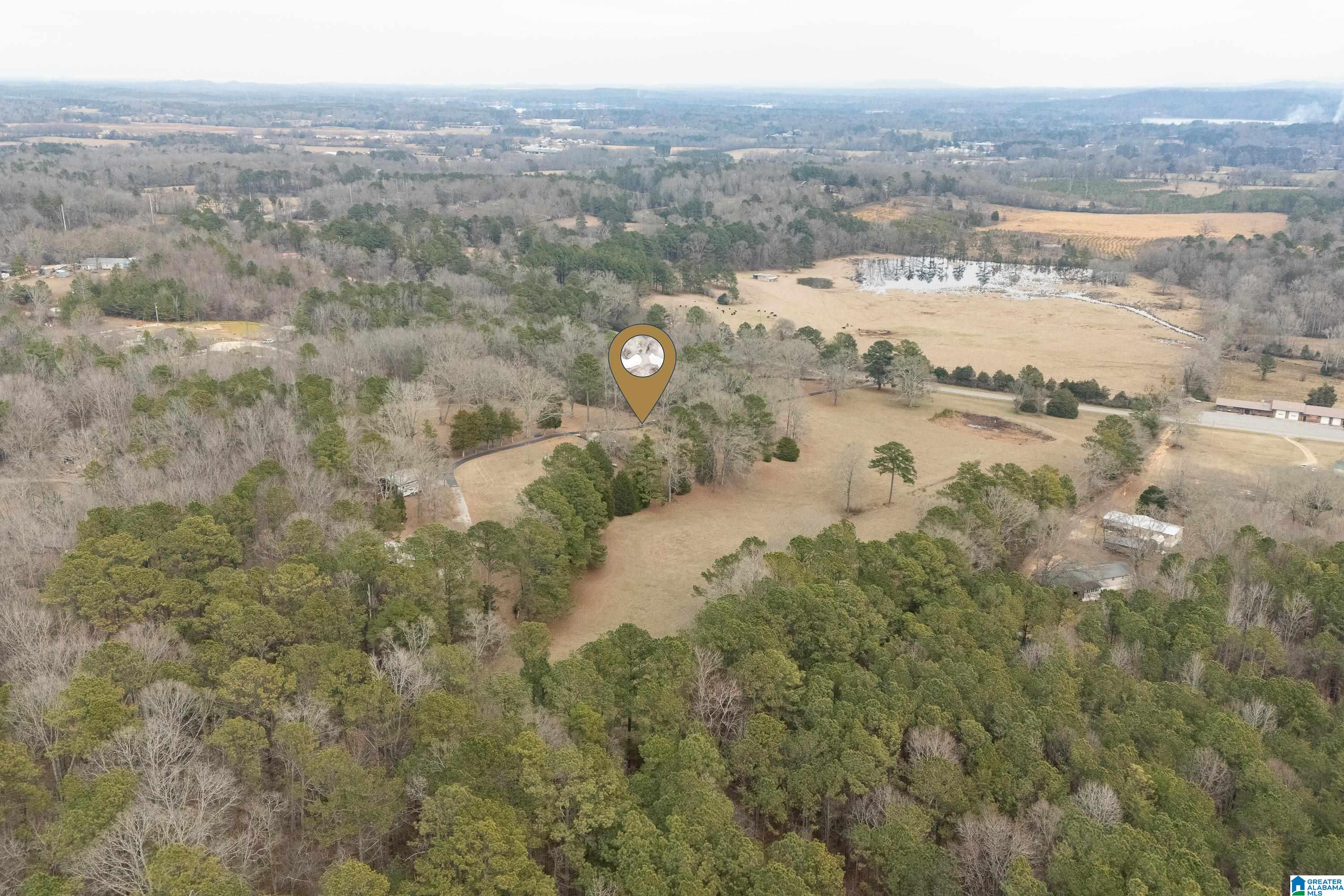 4175 Logan Martin Dam Road Cropwell, AL 35054 - Photo 41 of 47