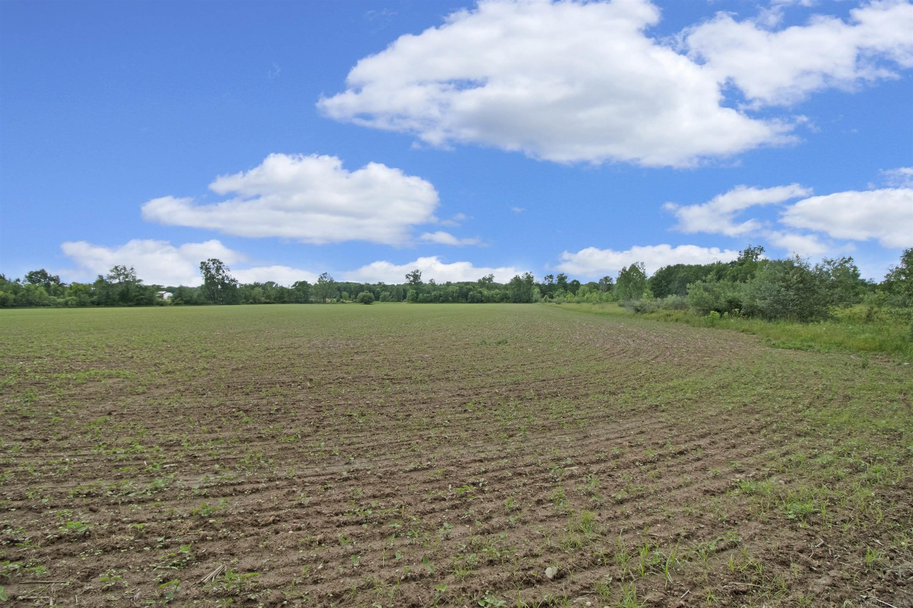Quain Road Emmett, MI 48022 - Photo 5 of 8