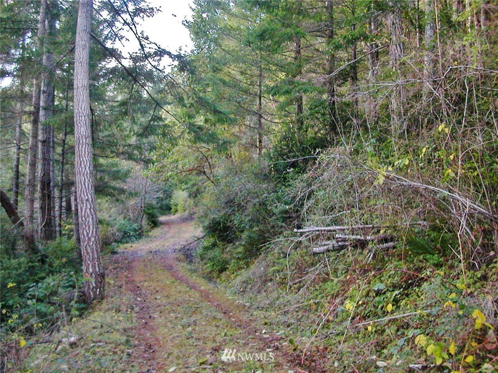 801901 Yashi Road Brinnon, WA 98320 - Photo 10 of 14 Gallery Image 10