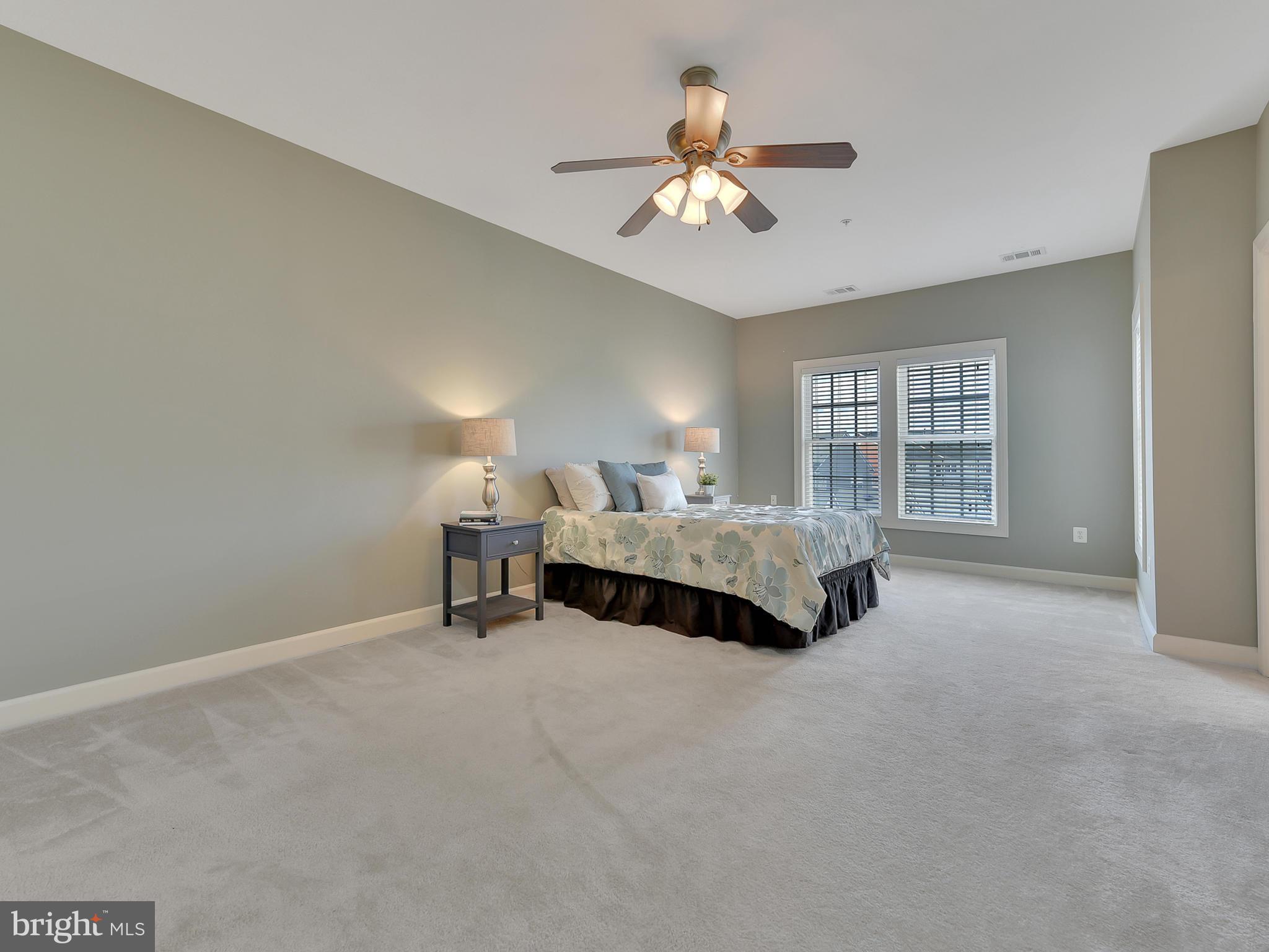 3934 Addison Woods Road Frederick, MD 21704 - Photo 17 of 41 Spacious master bedroom!