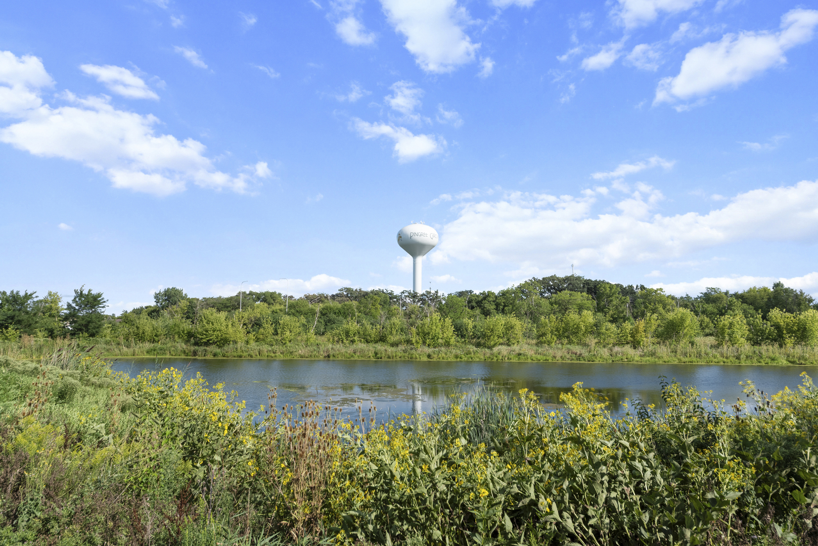 2323 Upland Road Pingree Grove, IL 60140 - Photo 18 of 18 Gallery Image 18