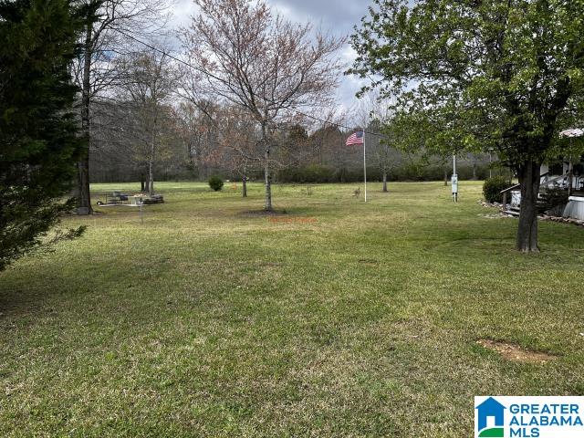 253 Foster Lane Sylacauga, AL 35150 - Photo 8 of 30