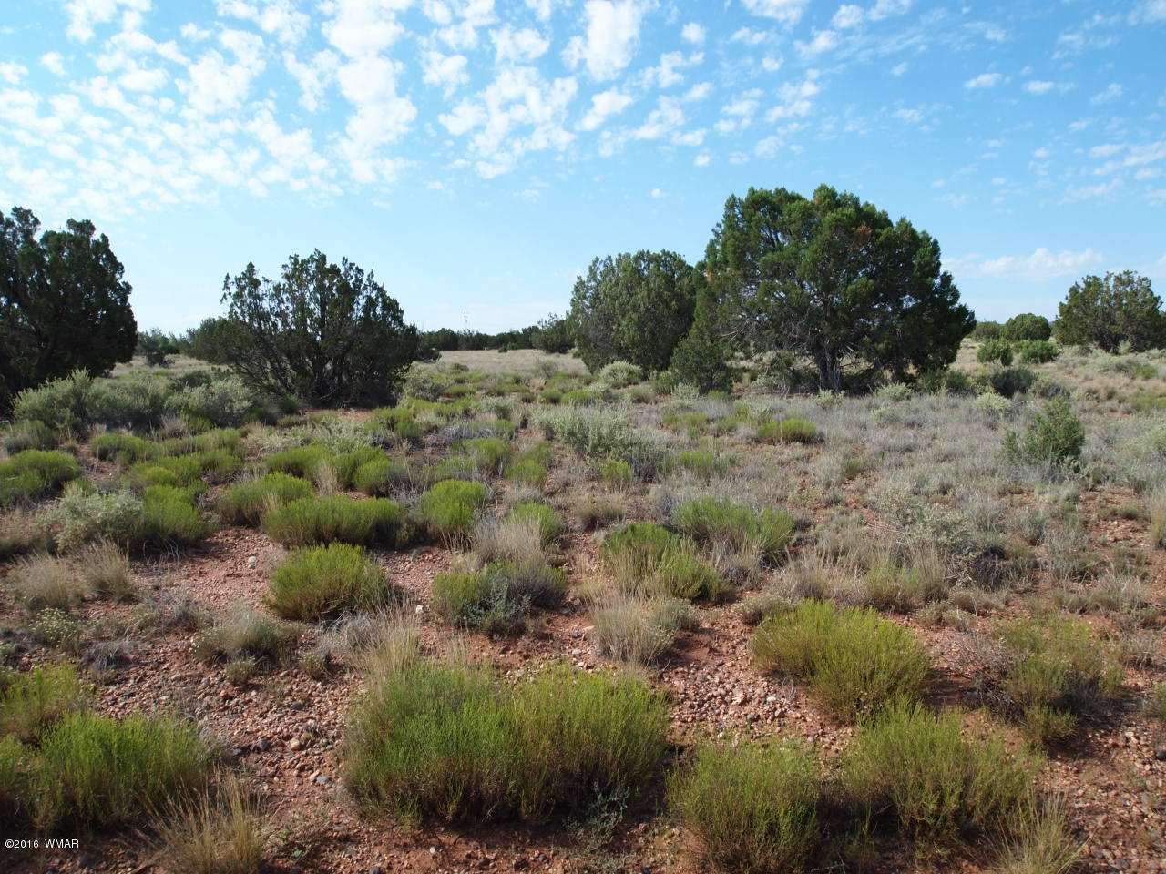 4578 Appaloosa Road Snowflake, AZ 85937 - Photo 1 of 9