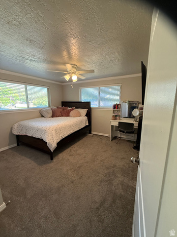 1075 East 300 North Springville, UT 84663 - Photo 15 of 20