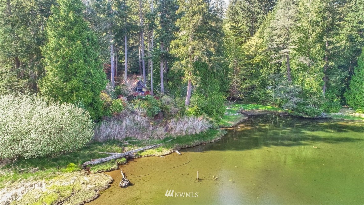 1031 Whitney Road Quilcene, WA 98376 - Photo 23 of 25 Gallery Image 23
