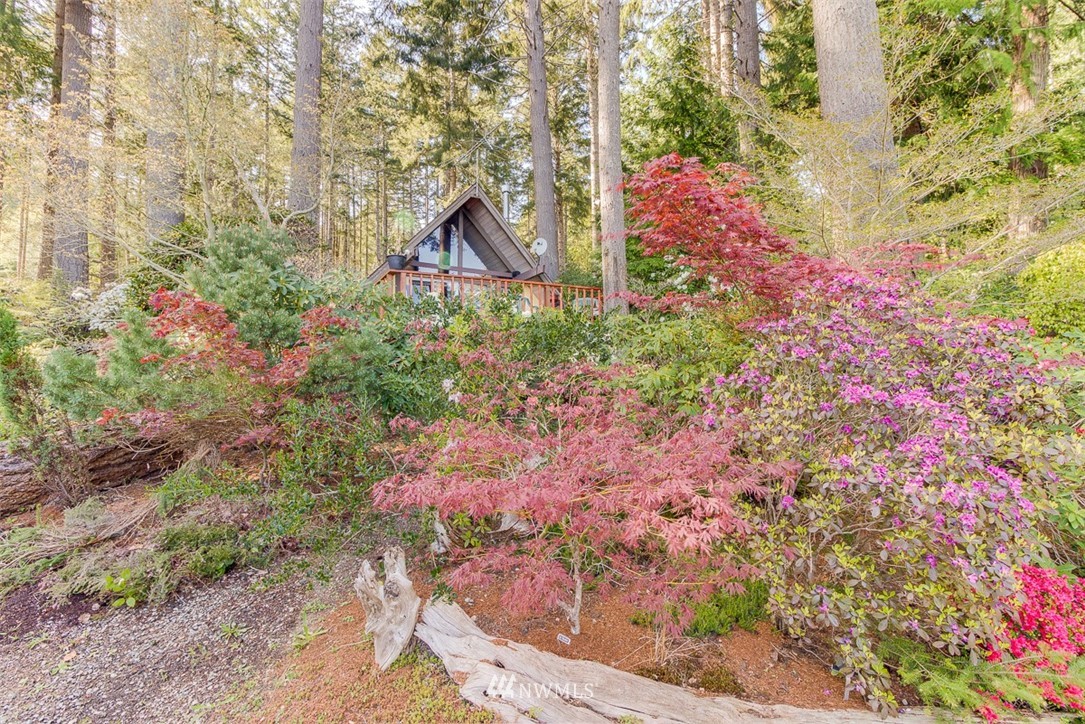 1031 Whitney Road Quilcene, WA 98376 - Photo 4 of 25 Gallery Image 4