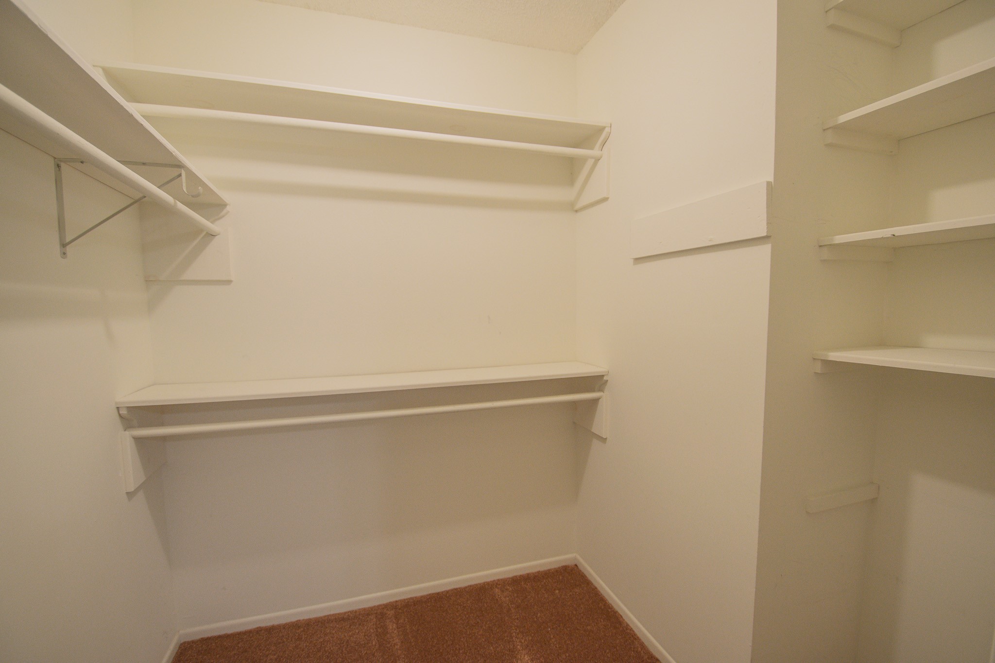 3 Lazybrook Street Angleton, TX 77515 - Photo 10 of 29 Primary Bedroom Closet