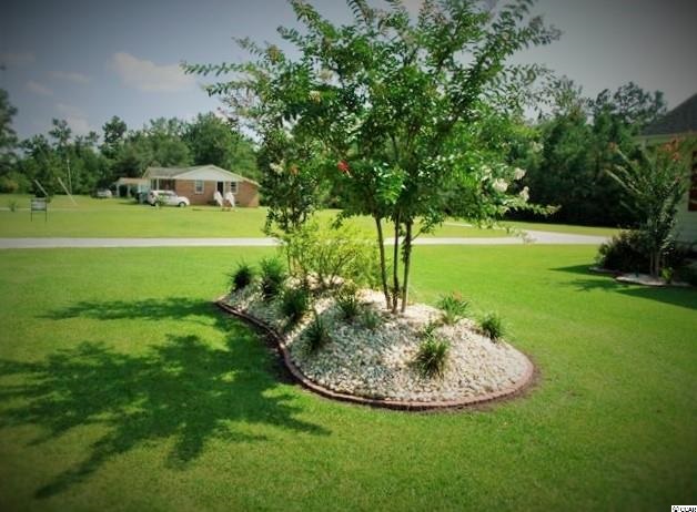 705 Goretown Loop Loris, SC 29569 - Photo 9 of 25