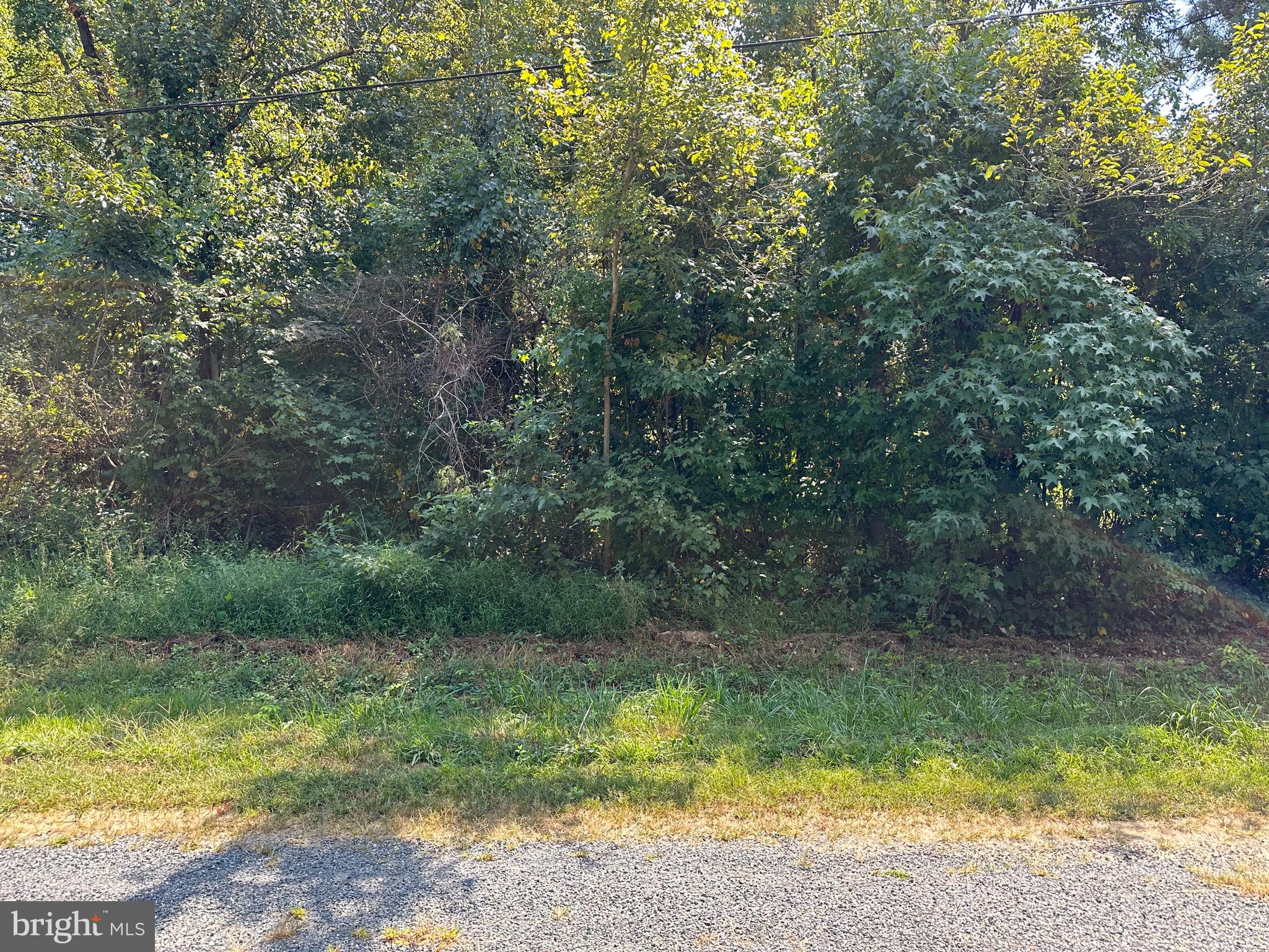 Vireo Rd Lots 262 & 263