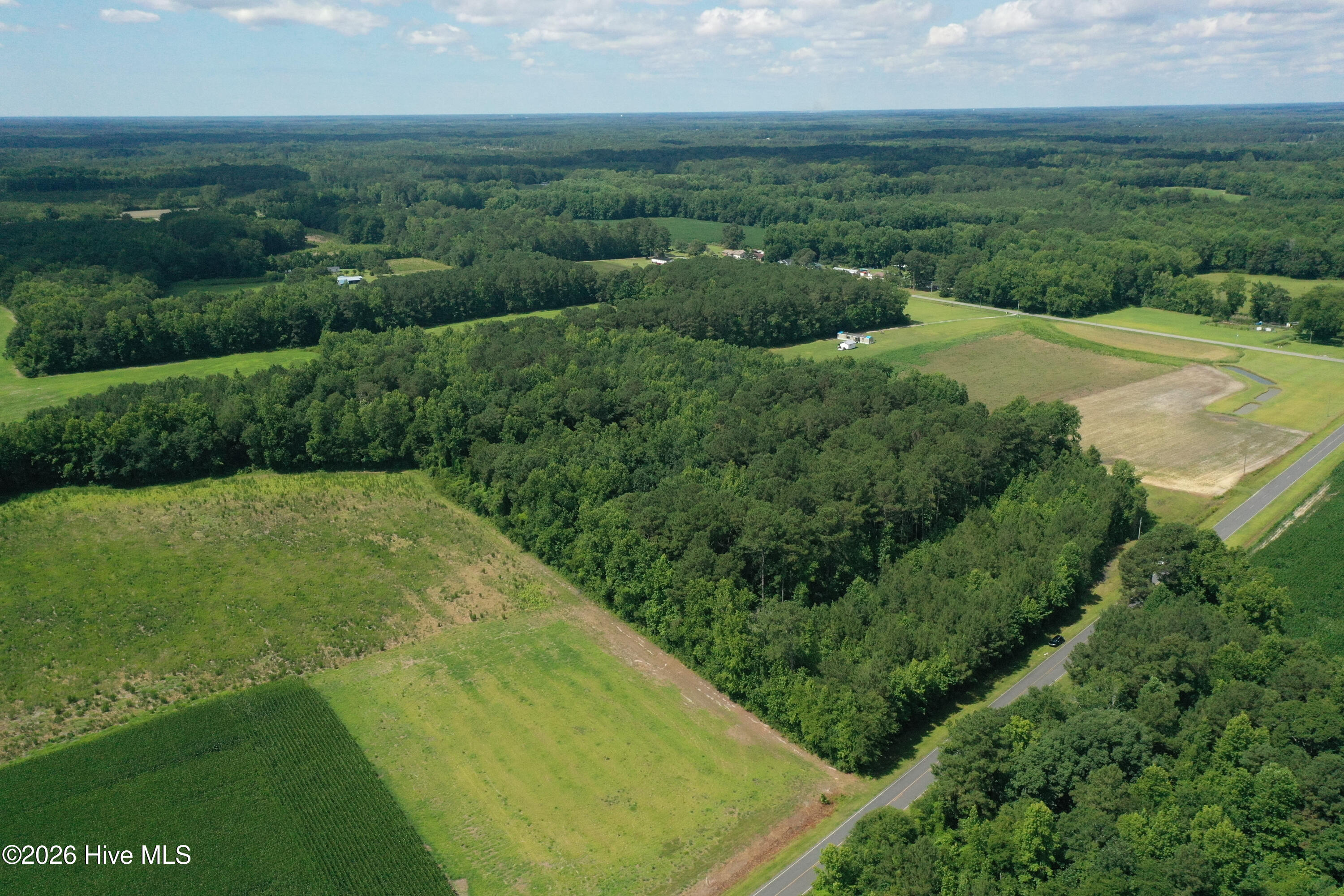 1419 Mable Spaulding Road Whiteville, NC 28472 - Photo 13 of 16 Front of tract next to Mabel Spaudling Rd
