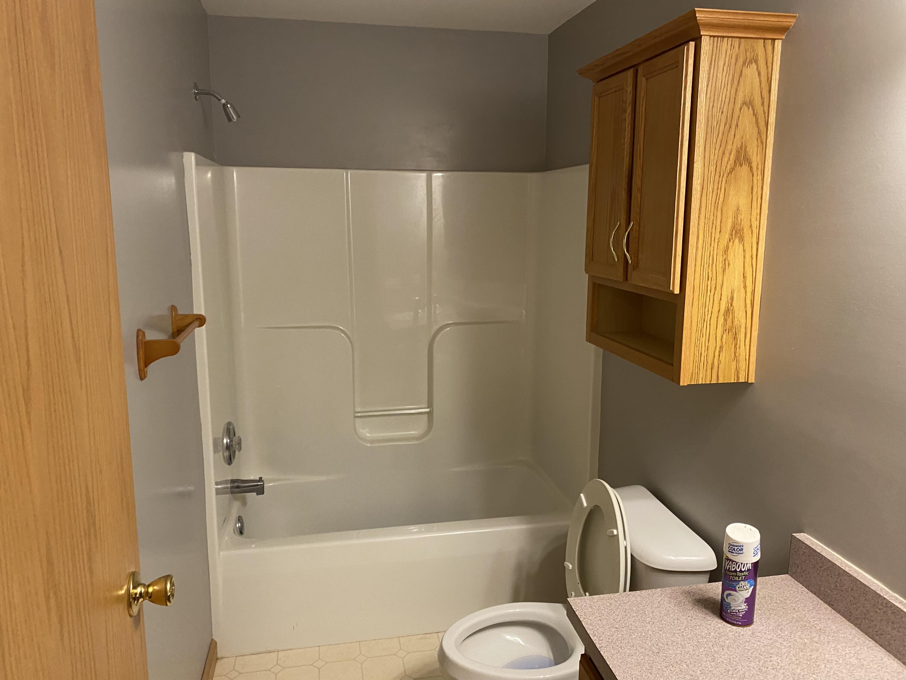 393 Taggart Road Bronson, MI 49028 - Photo 12 of 30 Bathroom