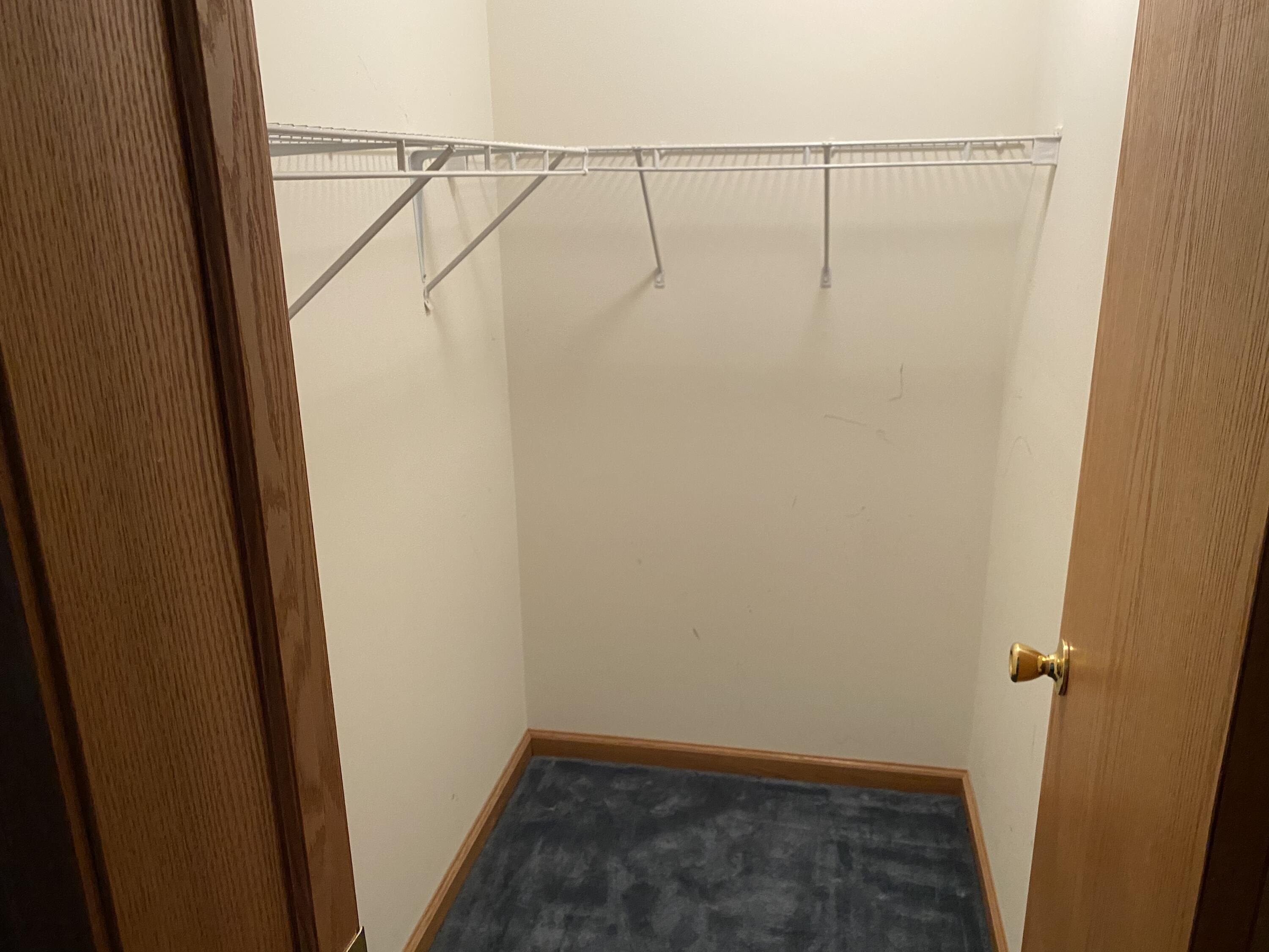 393 Taggart Road Bronson, MI 49028 - Photo 14 of 30 Walk In Closet
