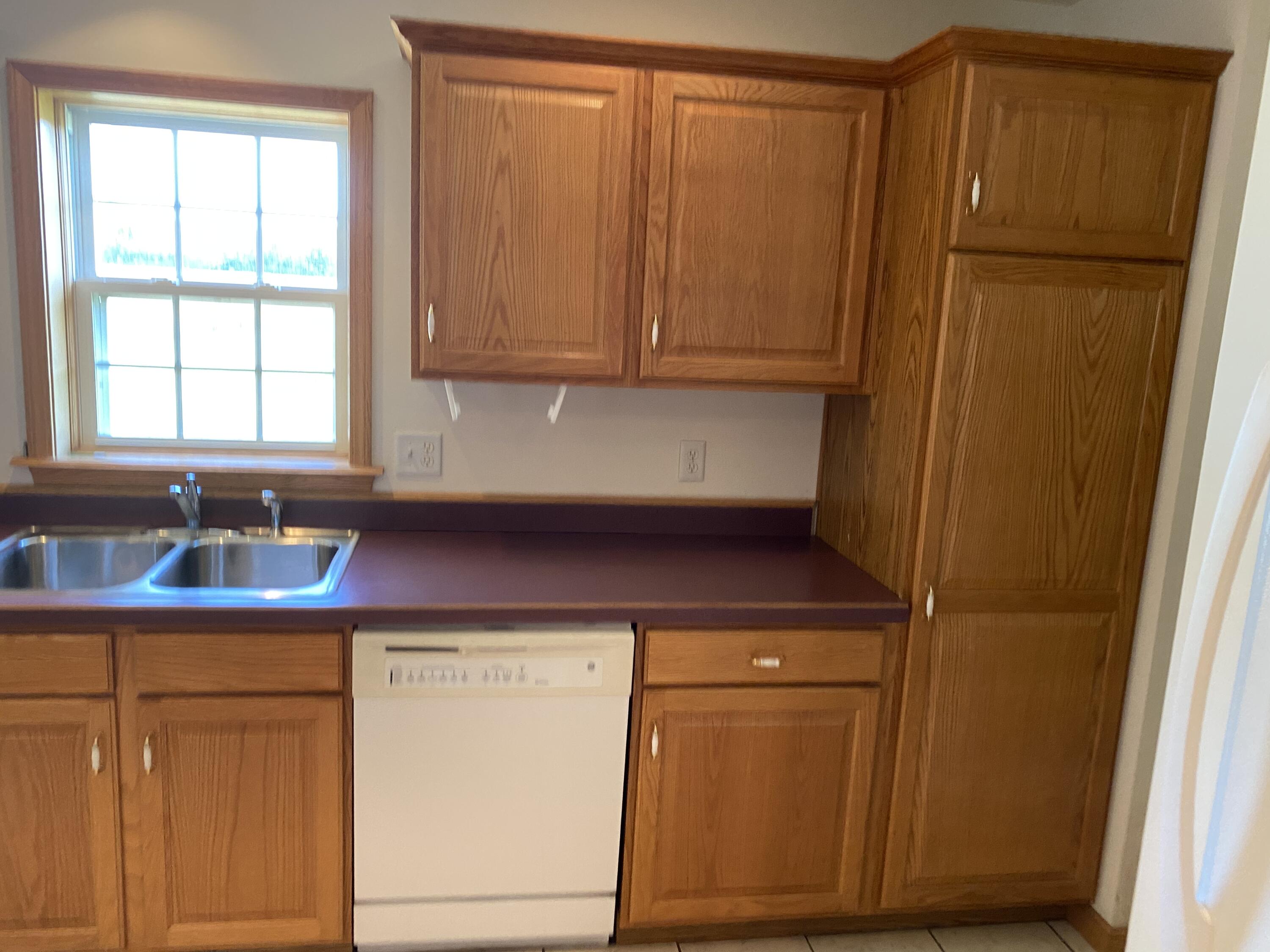 393 Taggart Road Bronson, MI 49028 - Photo 6 of 30 Kitchen