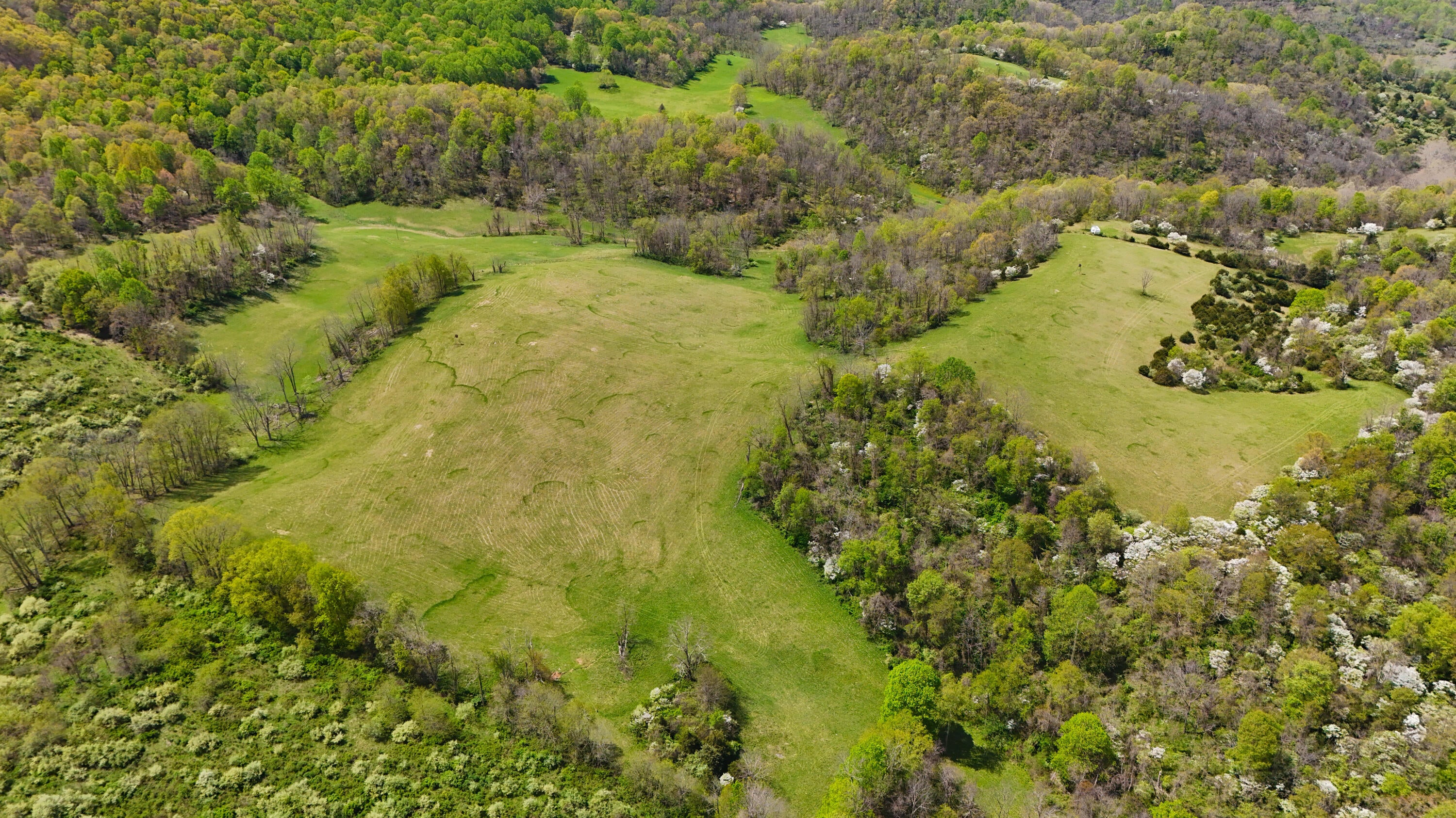 Buster Brown Road Union, WV 24983 - Photo 8 of 42 Gallery Image 8