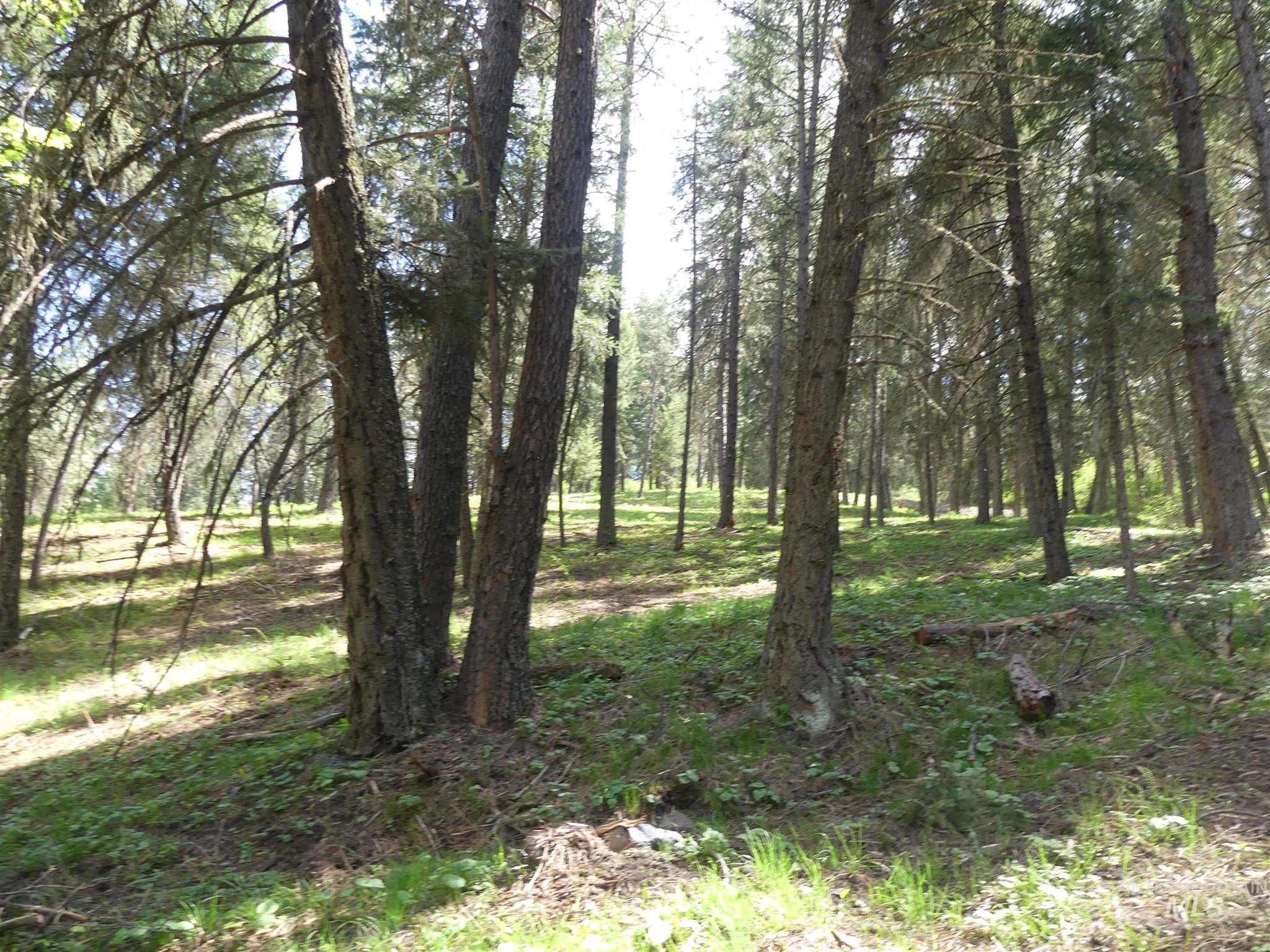 22743 Old Melrose Grade Road Peck, ID 83545 - Photo 44 of 45