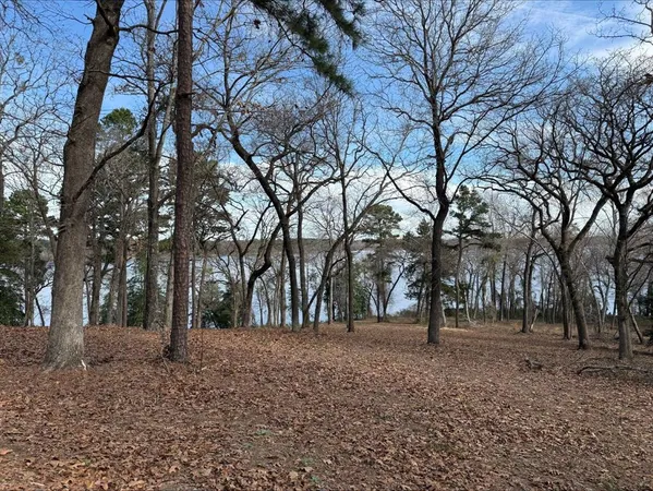 a view of outdoor space with lots of trees