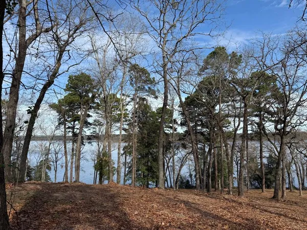 $255,000 | 3268 Shadow Pine Drive, Larue, TX 75770