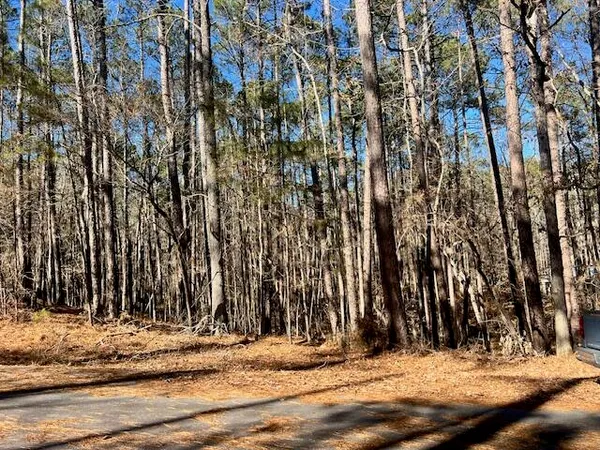 $15,000 | 0 Oconee Lane, McCormick, SC 29835