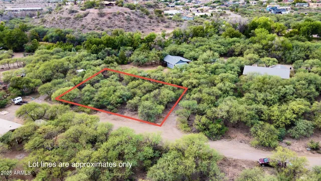 an aerial view of residential house with outdoor space and trees all around