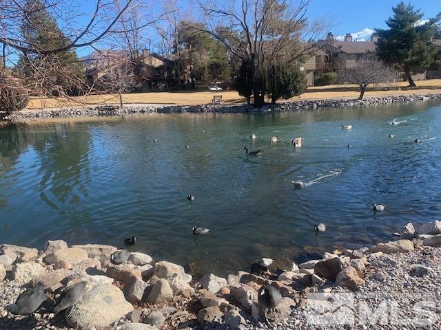 4480 Matich Drive Reno, NV 89502 - Photo 17 of 21 a view of lake view