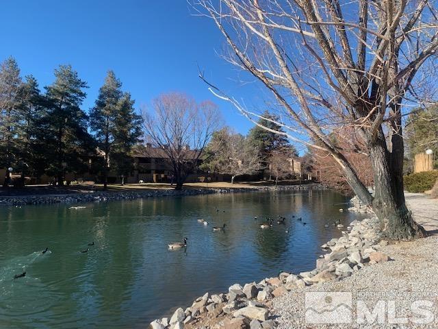 4480 Matich Drive Reno, NV 89502 - Photo 19 of 21 a view of a lake with a mountain