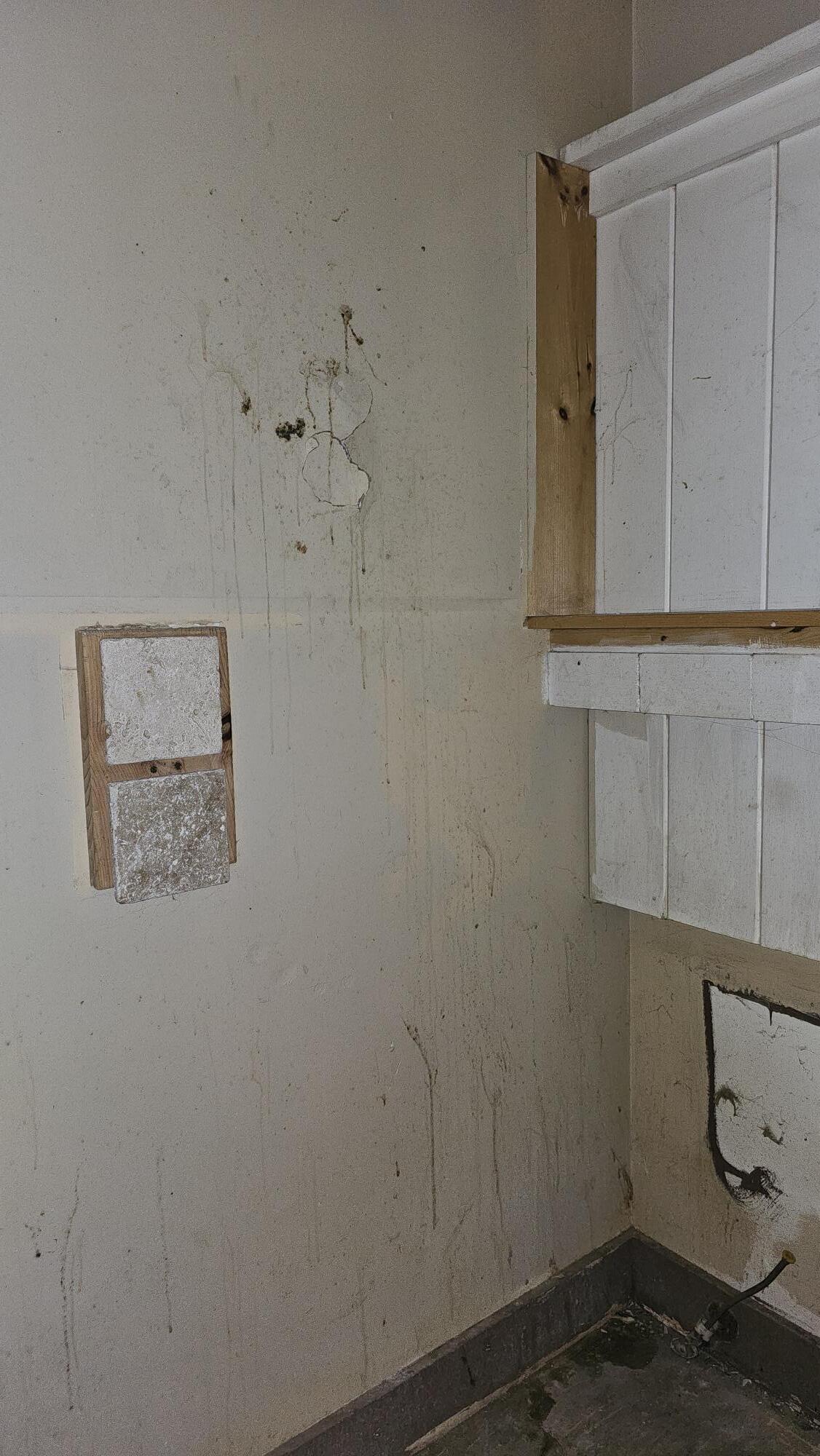 37 Cobb Road Camden, ME 04843 - Photo 32 of 42 20260519_172442