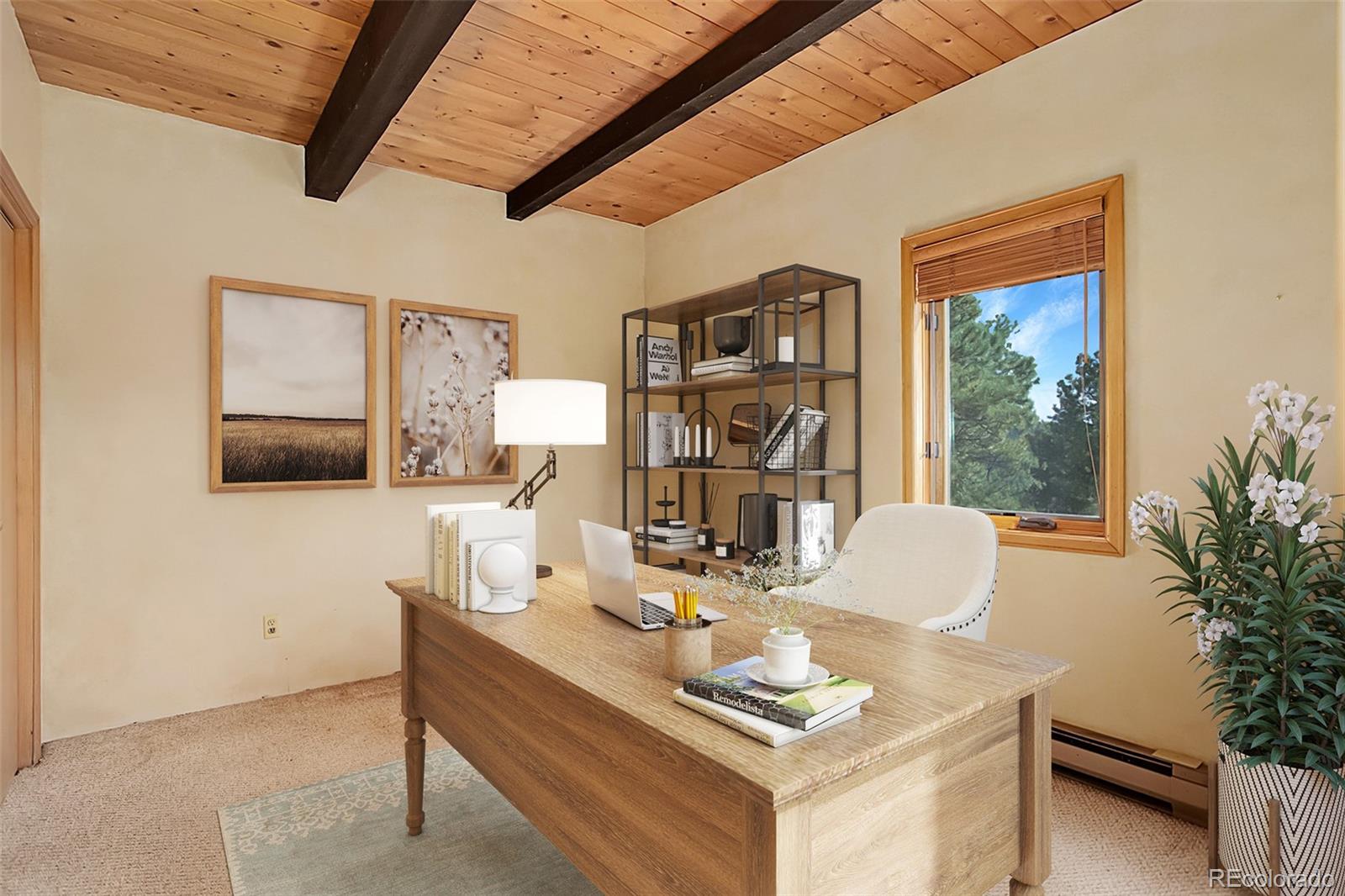 9209 Fallen Rock Road Conifer, CO 80433 - Photo 16 of 33 a living room with furniture and a potted plant