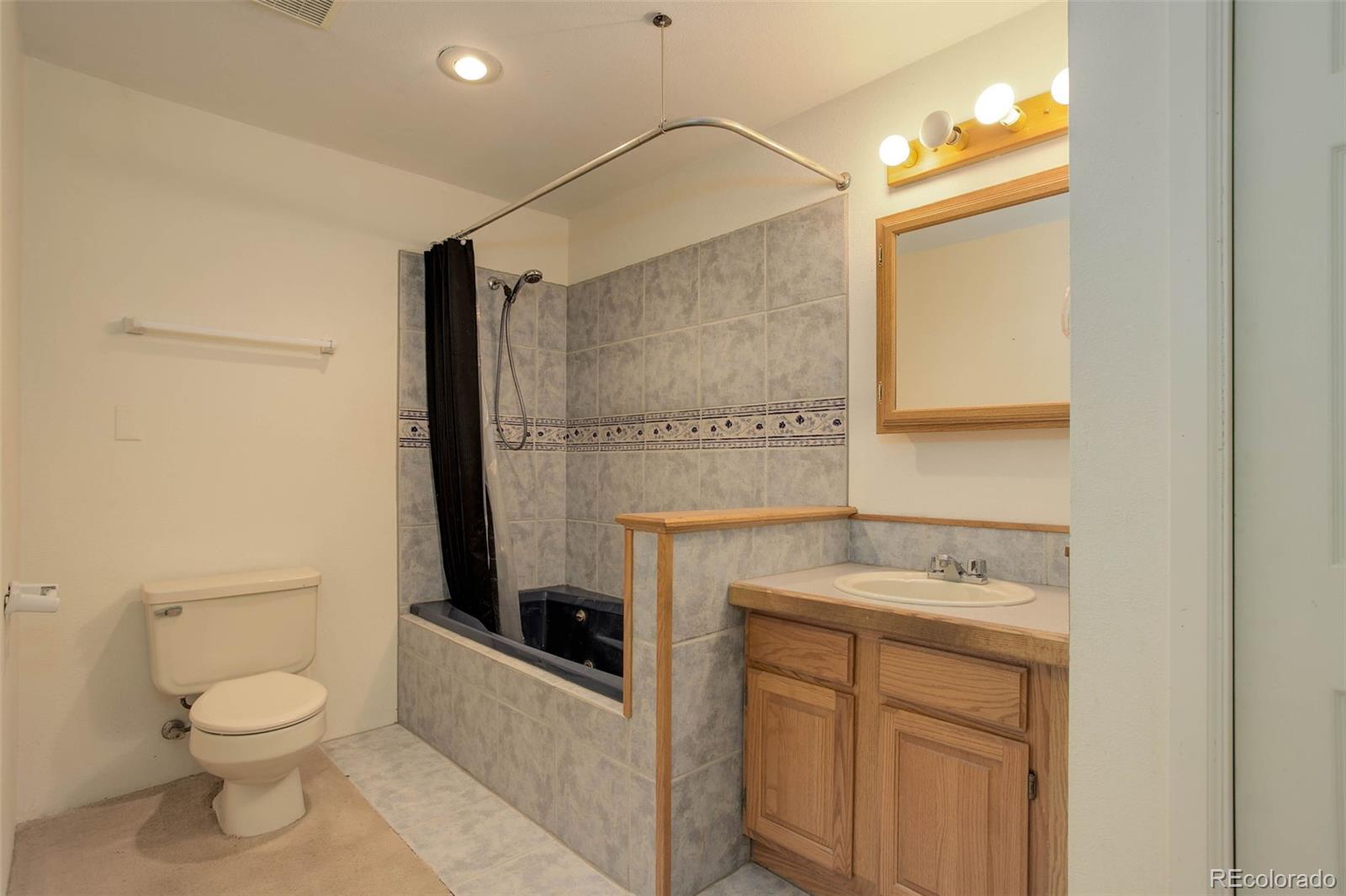 9209 Fallen Rock Road Conifer, CO 80433 - Photo 28 of 33 a bathroom with a sink a toilet and shower
