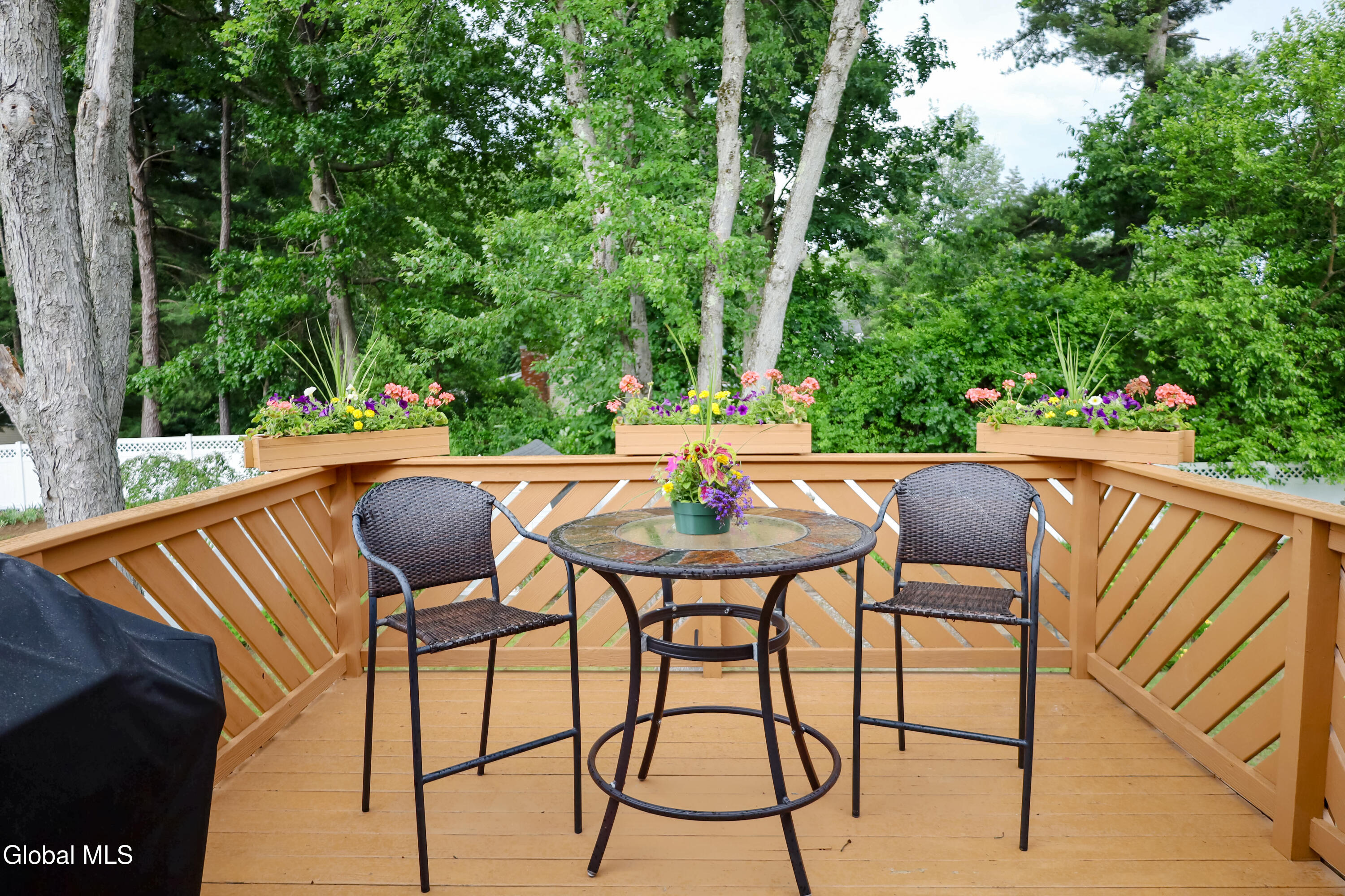 1081 Shave Road Schenectady, NY 12303 - Photo 8 of 26 Deck-2