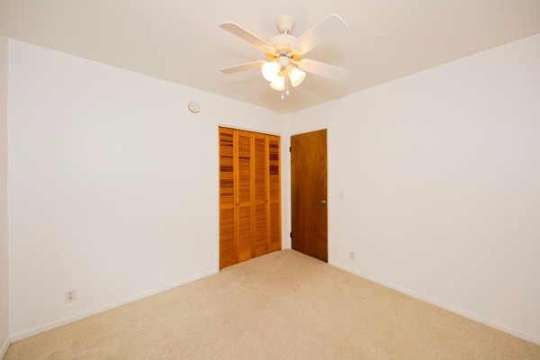 18-7848 Kaniela Road Mountain View, HI 96771 - Photo 21 of 24 Gallery Image 21