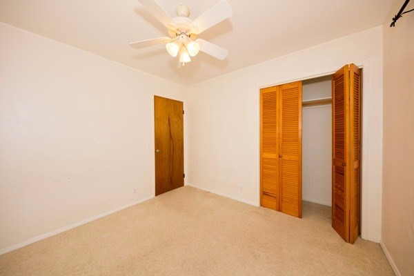 18-7848 Kaniela Road Mountain View, HI 96771 - Photo 23 of 24 Gallery Image 23