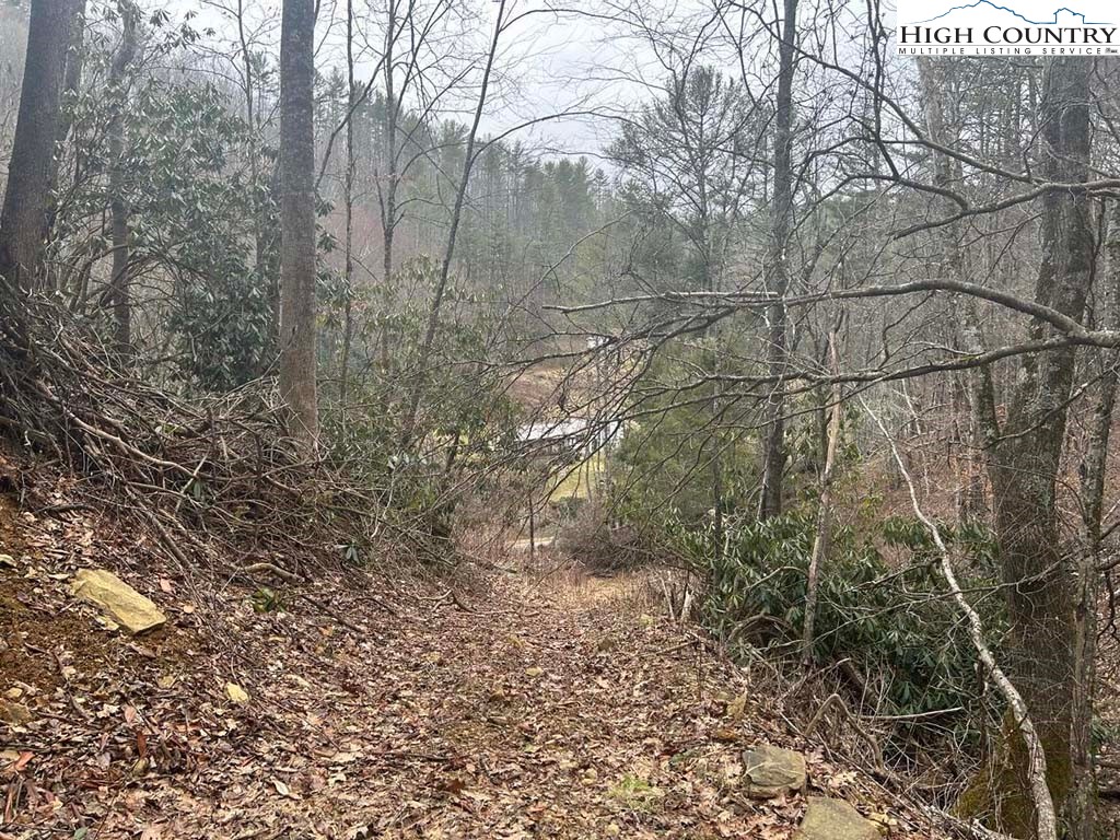 754 North Flatwoods Road Creston, NC 28615 - Photo 4 of 16