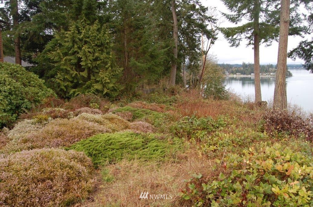 8047 Zangle Road Northeast Olympia, WA 98506 - Photo 9 of 23 Gallery Image 9