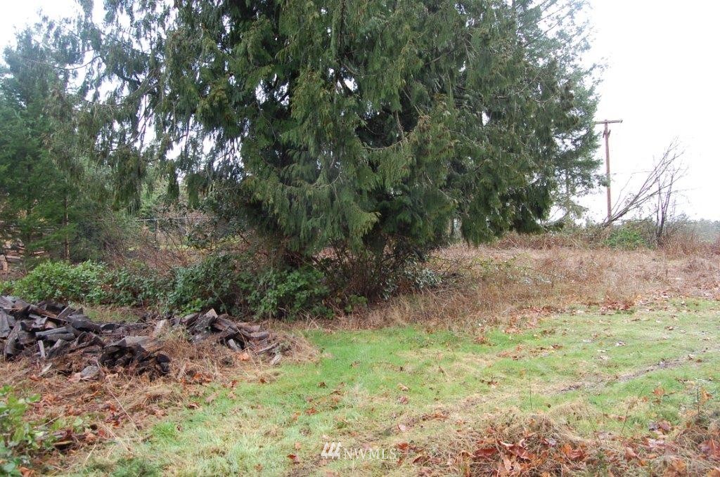 8047 Zangle Road Northeast Olympia, WA 98506 - Photo 10 of 23 Gallery Image 10