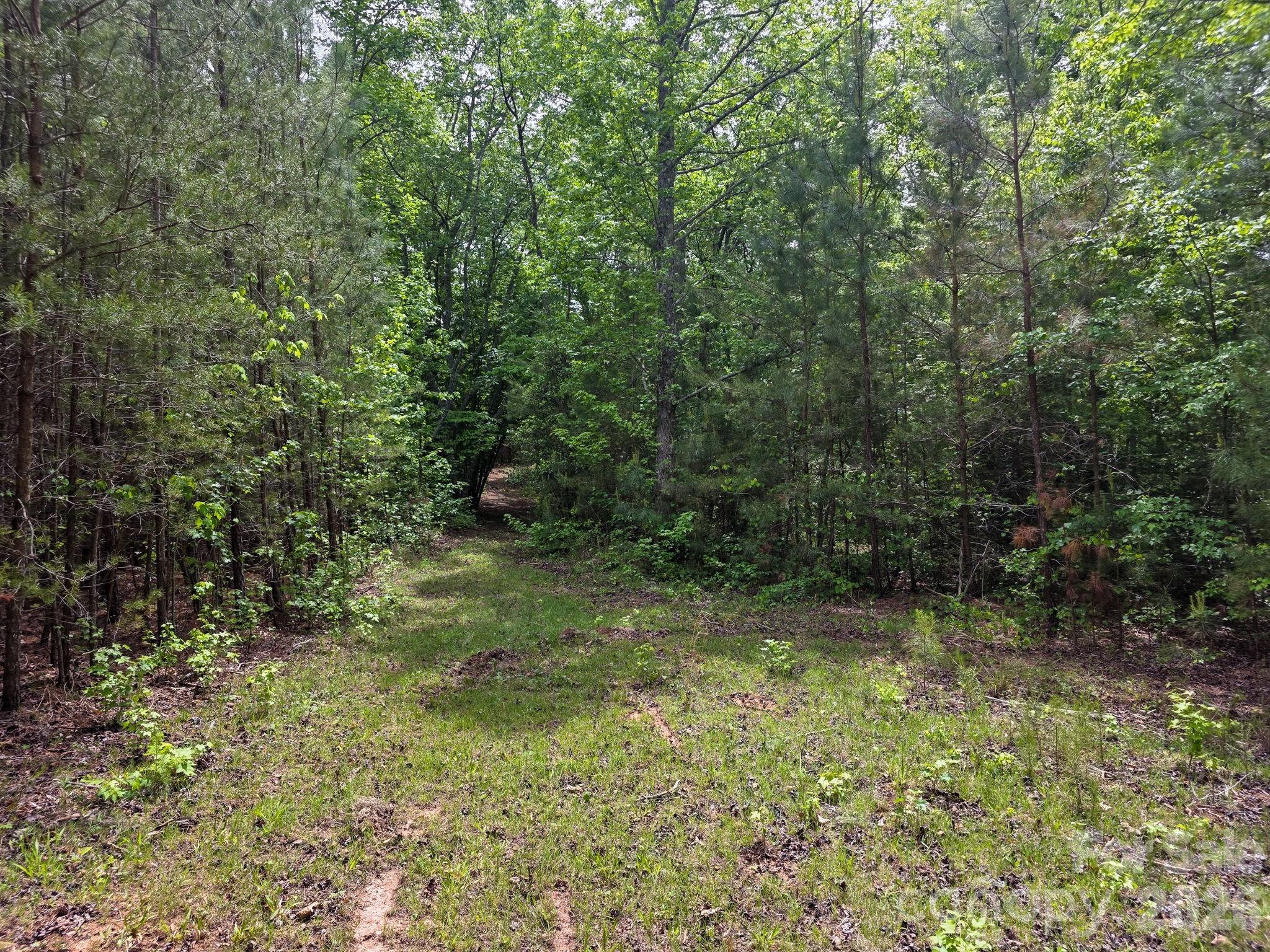0 Romey Campbell Road Ellenboro, NC 28040 - Photo 20 of 41