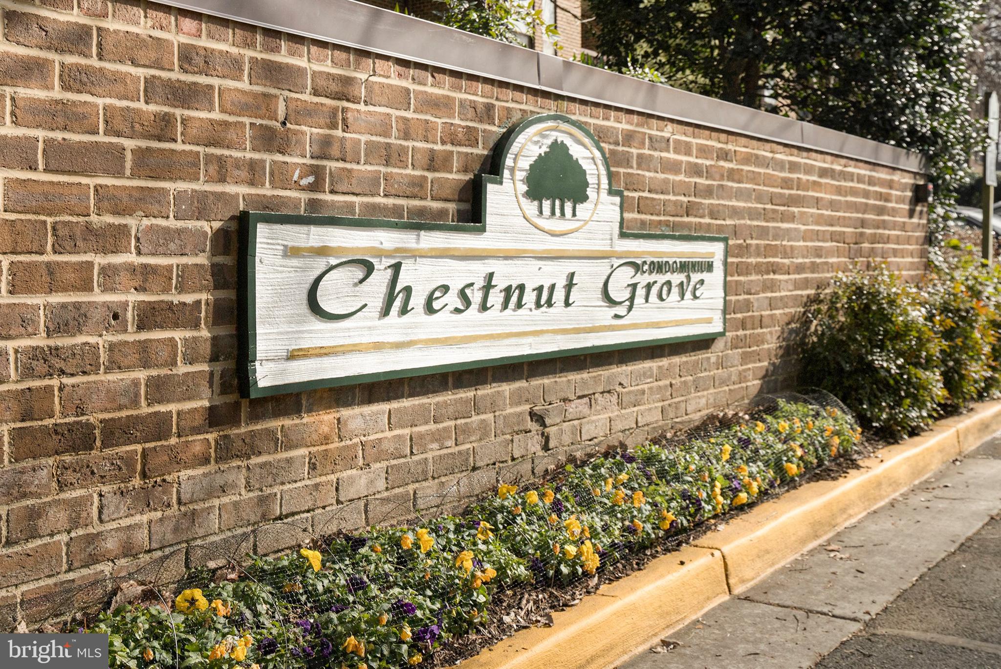 11216 Chestnut Grove Square, Unit 217 Reston, VA 20190 - Photo 31 of 31 Gallery Image 31