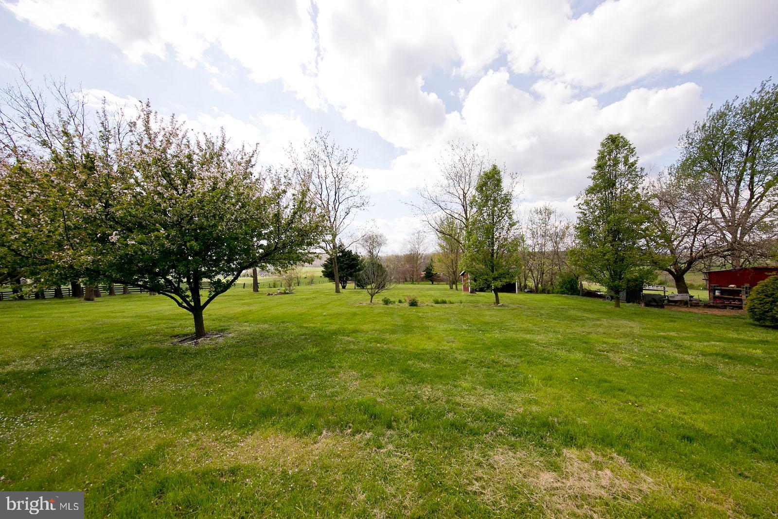 1633 Apple Pie Ridge Road Winchester, VA 22603 - Photo 45 of 50