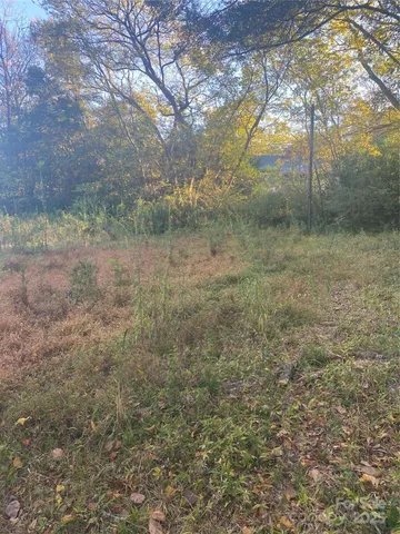 a view of a yard with a tree
