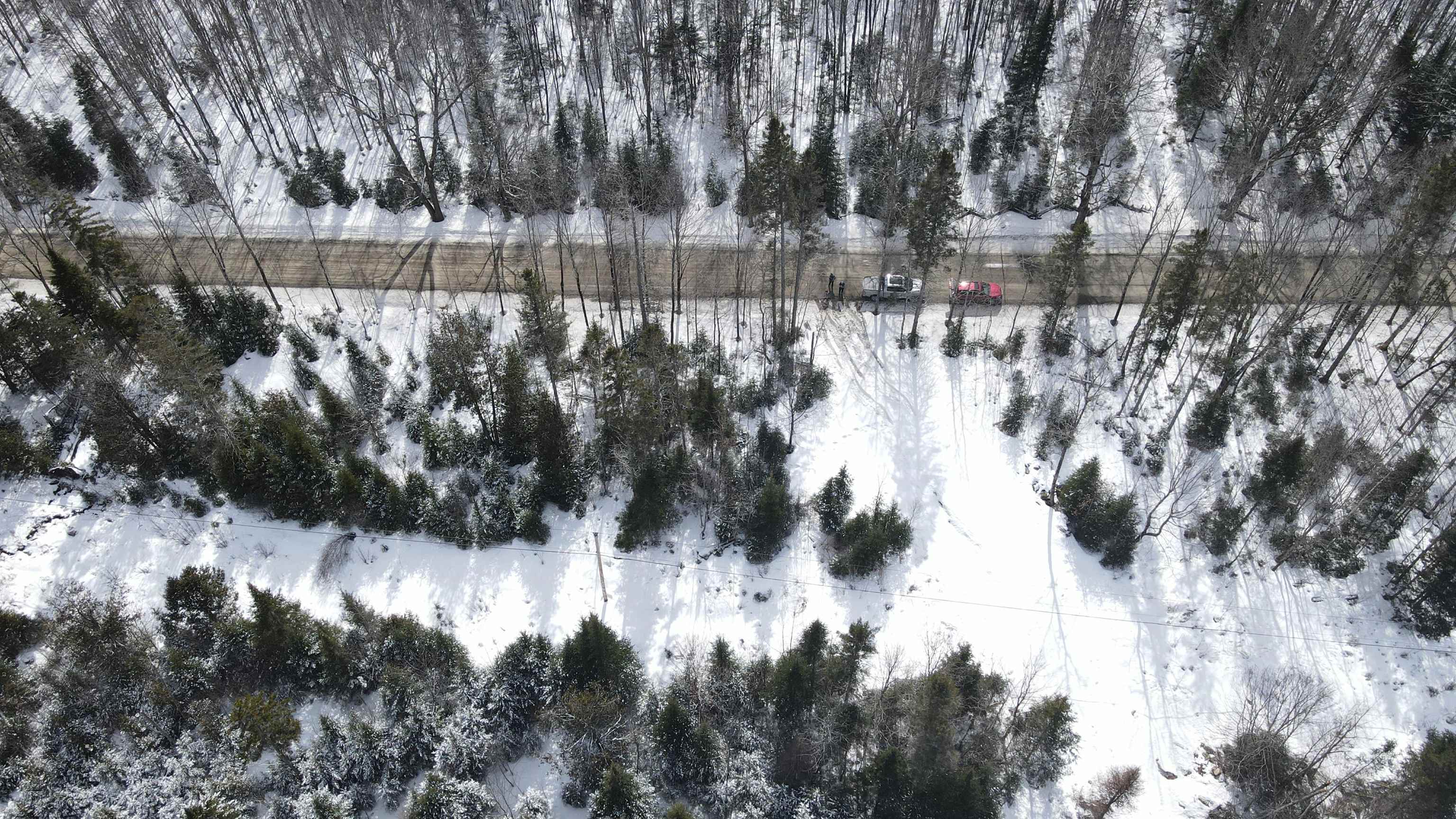 0 Shadow Lake Road Glover, VT 05839 - Photo 12 of 45