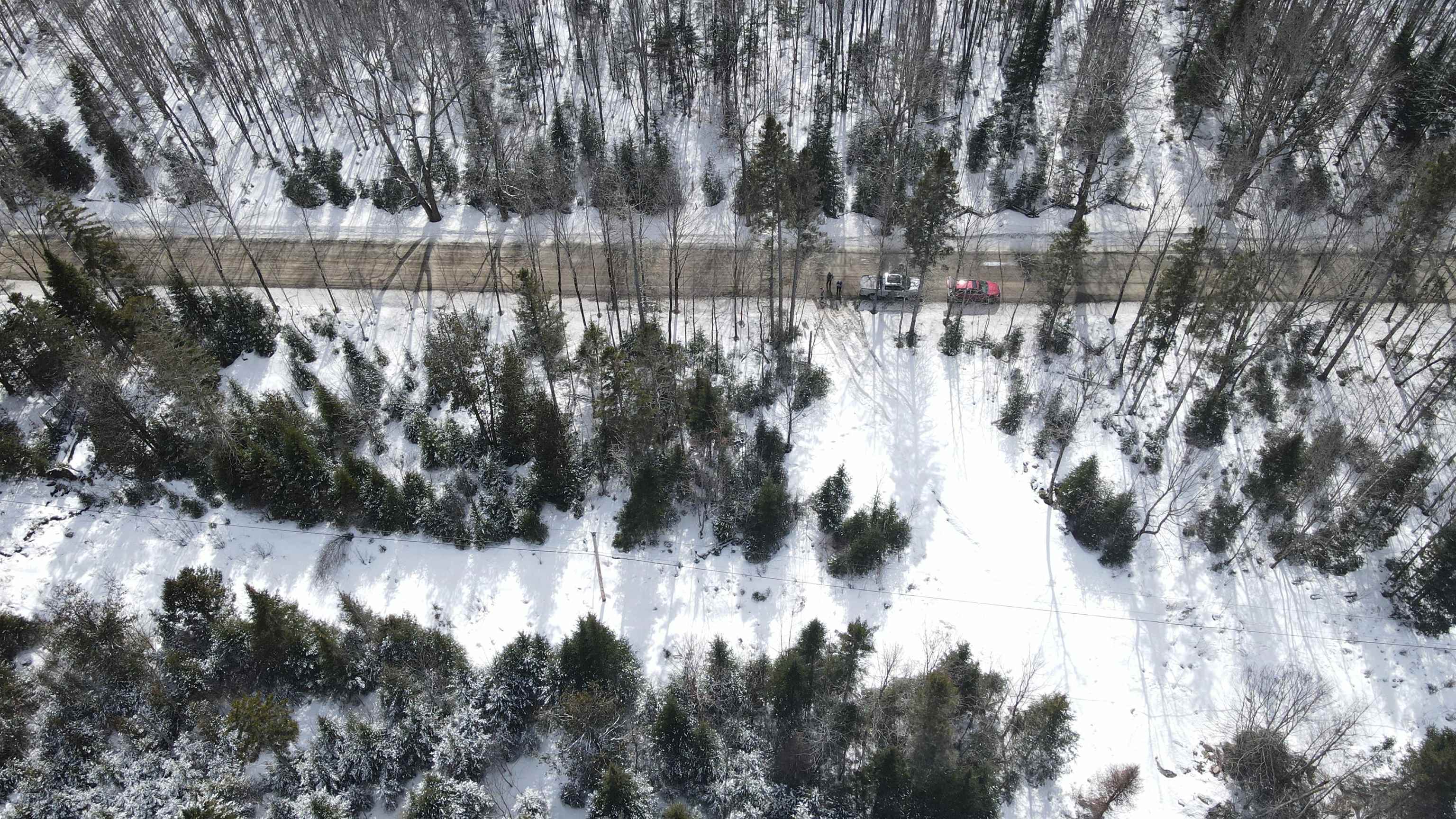 0 Shadow Lake Road Glover, VT 05839 - Photo 13 of 45