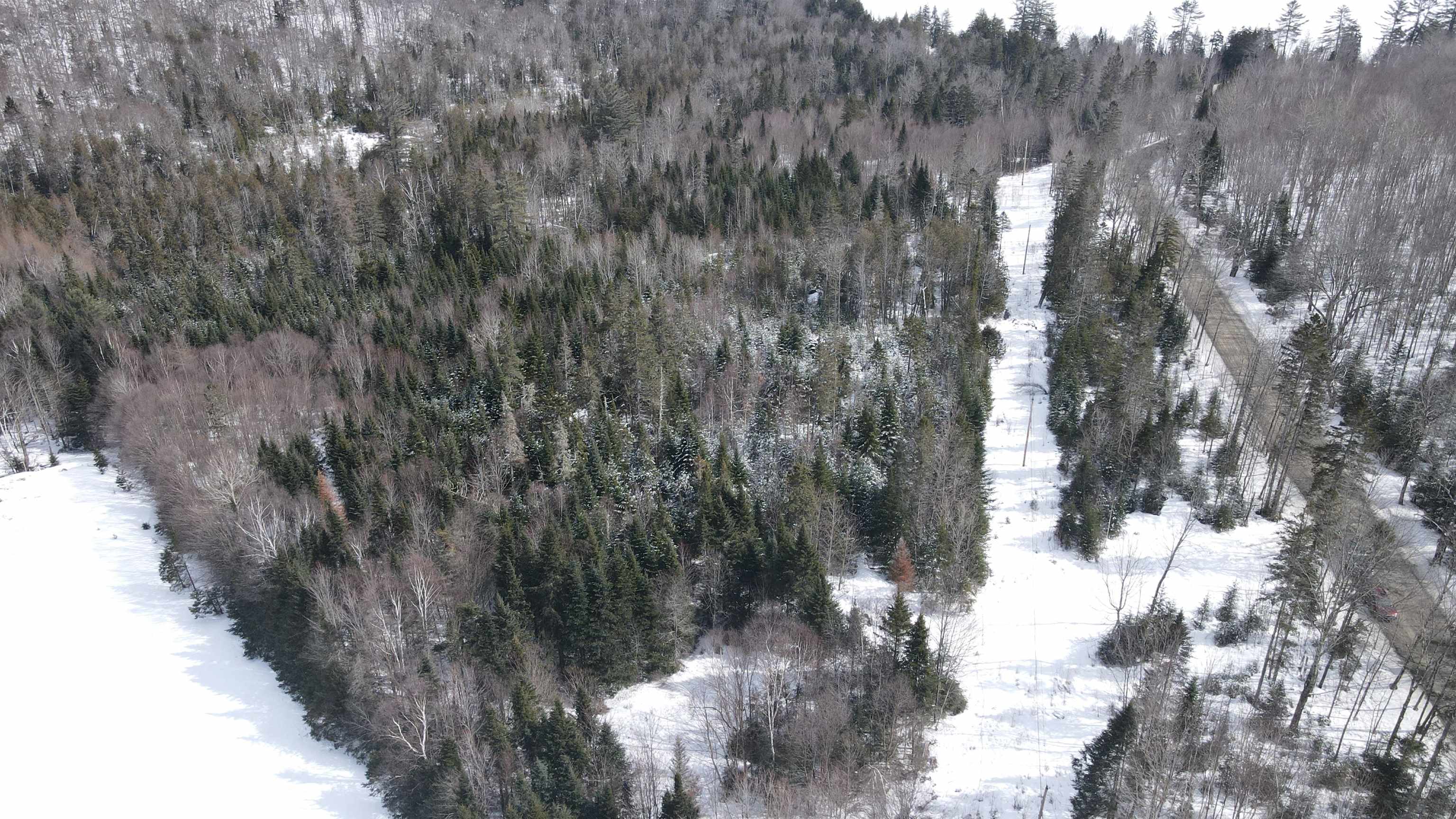 0 Shadow Lake Road Glover, VT 05839 - Photo 18 of 45