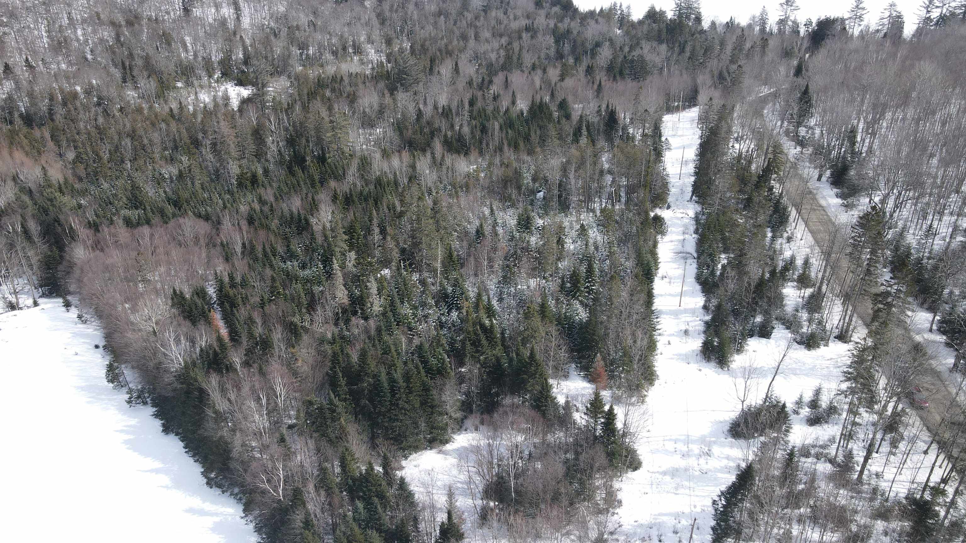 0 Shadow Lake Road Glover, VT 05839 - Photo 19 of 45