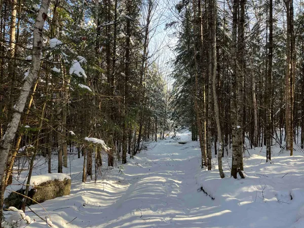 $130,000 | 0 Shadow Lake Road, Glover, VT 05839